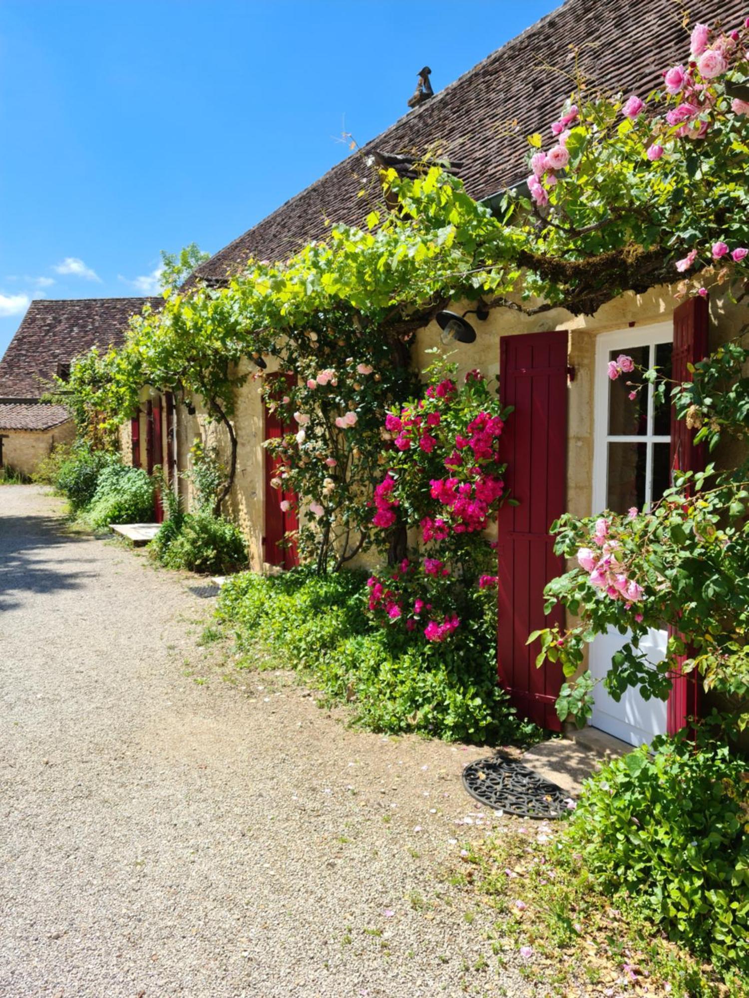 La Ferme De L'Embellie Gites Et Chambres D'Hotes Le Buisson-de-Cadouin Eksteriør bilde